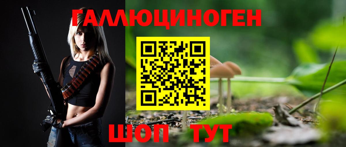 Галлюциногенные грибы Cubensis  Вход с VPN  Красноармейск 